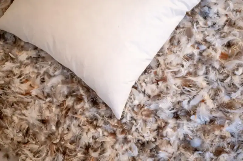 Søms Oeko-Tex® Standard 100 certificering – duurzaam geproduceerd