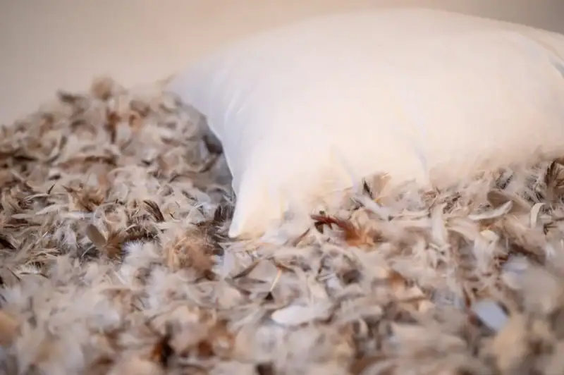 Natuurlijke eendendons en veren vulling van Søms sierkussen