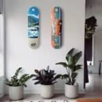 Décorations colorées de skateboard sur un mur blanc avec des plantes d'intérieur vertes sur le sol.