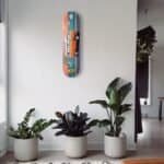 Planche à roulettes colorée sur un mur blanc avec de grandes plantes d'intérieur vertes dans des pots blancs.