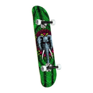 Powell Peralta Vallely Elephant skateboard 7.5 groen complete setup